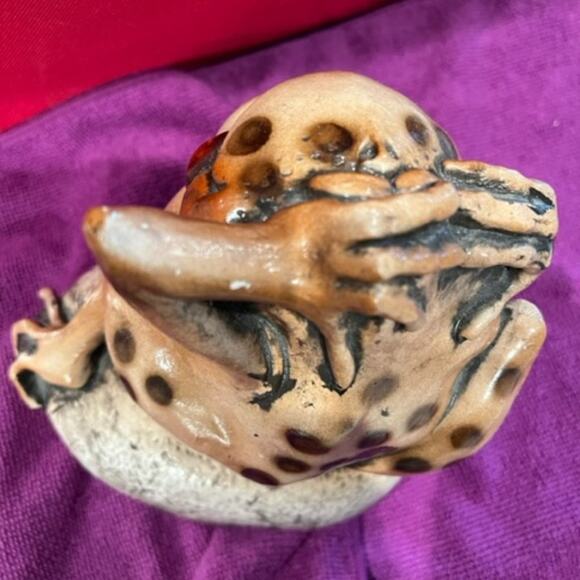 Crazy Day! Frog on a Rock! - Picture 8 of 9